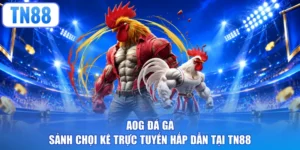 AOG Đá Gà - Sảnh Chọi Kê Trực Tuyến Hấp Dẫn Tại TN88