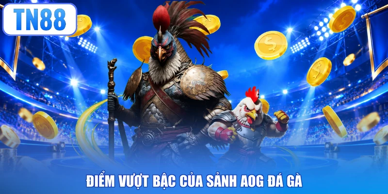Điểm vượt bậc của sảnh AOG đá gà