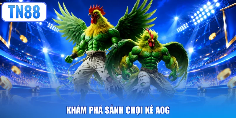 Khám phá sảnh chọi kê AOG