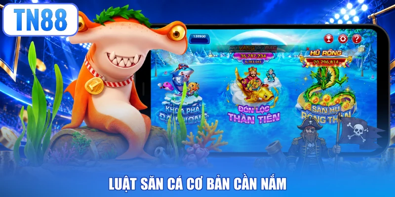 Luật săn cá cơ bản cần nắm