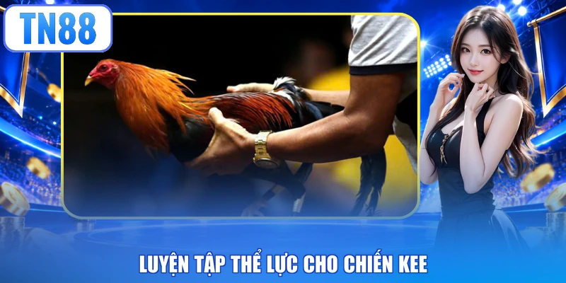 Luyện tập thể lực cho chiến kee