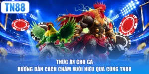 Thức Ăn Cho Gà - Hướng Dẫn Cách Chăm Nuôi Hiệu Quả Cùng TN88