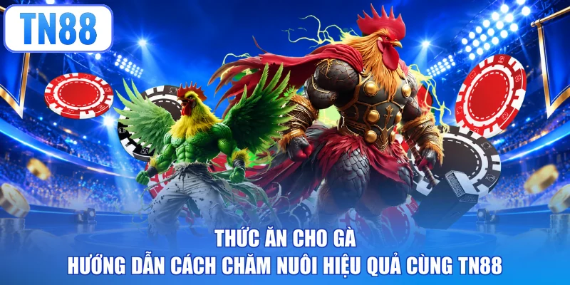 Thức Ăn Cho Gà - Hướng Dẫn Cách Chăm Nuôi Hiệu Quả Cùng TN88